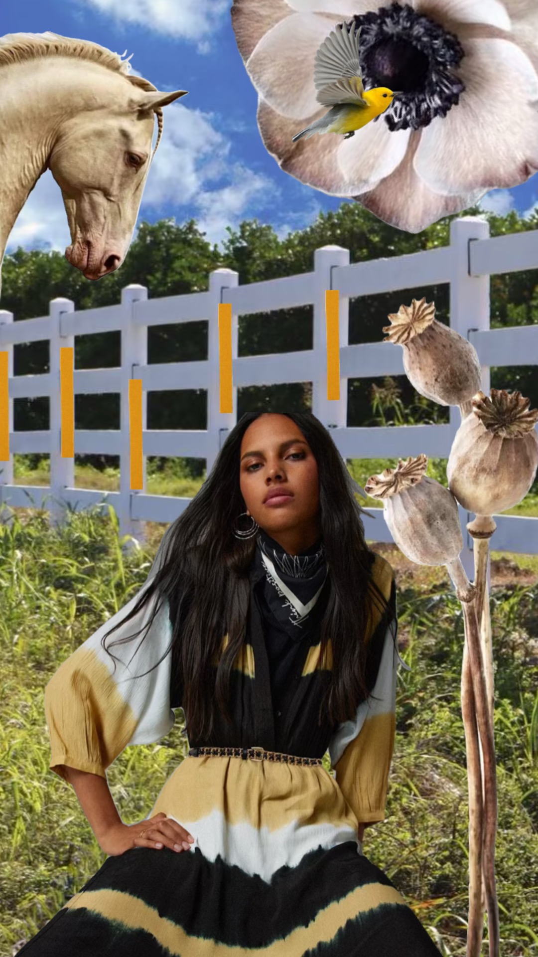 Collage Digital Romina Karl